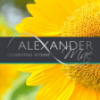 Alexander Mae (Bristol) Ltd